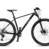 4EVER Bikes TRINITY Race 29" Sort/ Hologram